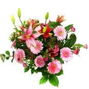 kark gerbera mevsim iek buketi masum ve etkileyici  