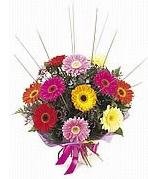 ucuz ve kaliteli firmamzdan mthi kark gerbera mevsim iek buketi