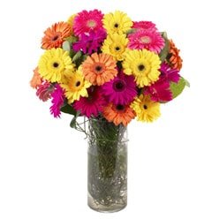 etkileme iei Cam iinde gerbera iekleri ieki dkkanmzdan