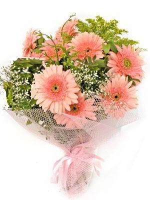 hediye iek modeli taze kr iekleri gerbera demeti