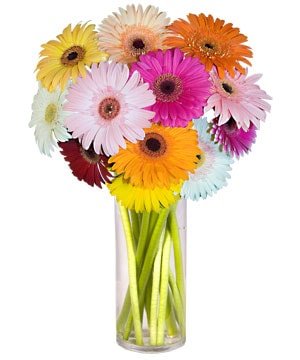 anlatmak isteyen iekler Cam iinde gerbera iekleri ieki dkkanmzdan