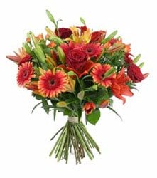 kark gerbera mevsim iek buketi etkileyen iekler 