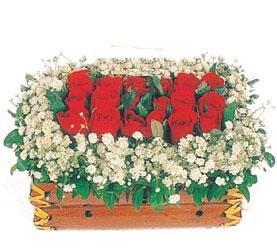 Kelebek iek sitemizden sral onbir adet krmz gl ieki dkkanmzdan