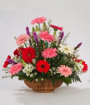 Bursa iek sat Kark Gerbera mevsim sepeti iei ieki dkkanmzdan