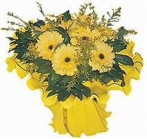 iek sitemize zel taze gerbera kr iekleri demeti